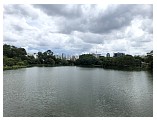 ibirapuera_12_00.jpeg