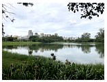 ibirapuera_2_00.jpeg