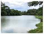 ibirapuera_4_00.jpeg